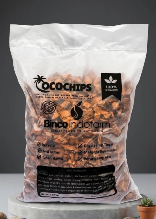 Cocochips Photo - PT Terra Indo Export 1