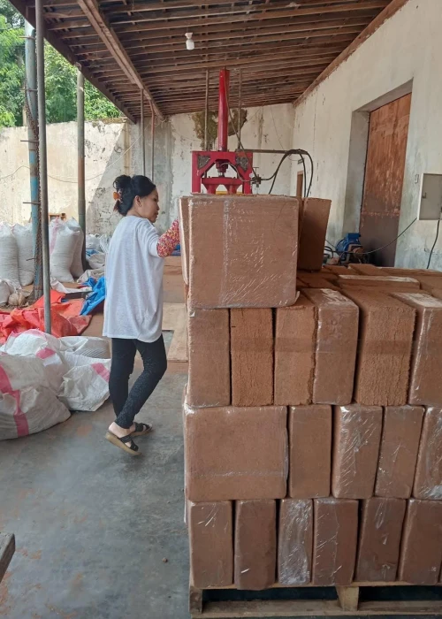 Cocopeat block Photo - PT Terra Indo Export 1