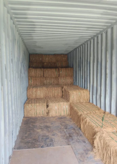 Shipping Photo - PT Terra Indo Export 5